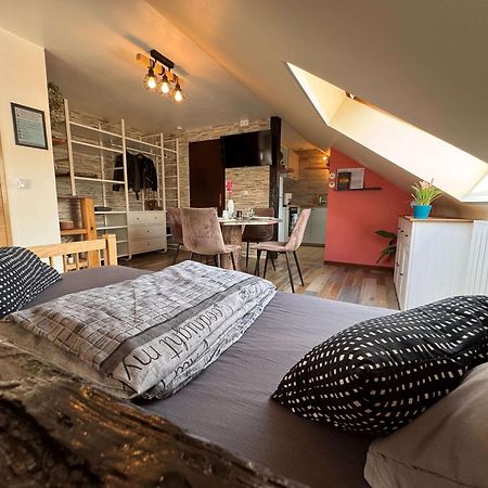 Private & Comfortable Apartments Puttelange-aux-Lacs Exterior photo
